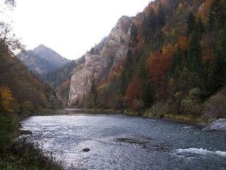 Przełom Dunajca. Pieniny/Autor: J. Opioła/ Źródło: Wikipedia Przełom Dunajca. Pieniny/Autor: J. Opioła/ Źródło: Wikipedia