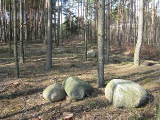 Głazy narzutowe w lesie w okolicy Pomiechówka/ Autor: S. Lamparski
