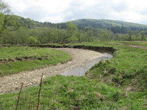 Na lewym ( na zdjęciu) brzegu rzeki widać skutki procesu akumulacji rzecznej: Beskid Niski/ Autor: S. Lamparski