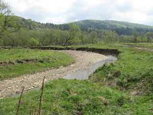 Na lewym ( na zdjciu) brzegu rzeki wida skutki procesu akumulacji rzecznej: Beskid Niski/ Autor: S. Lamparski