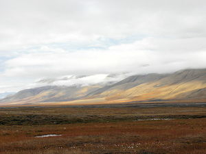 Krajobraz polodowcowy wyglada podobnie jak wspczesna tundra -Svalbard tundra/ rdo: Wikipedia