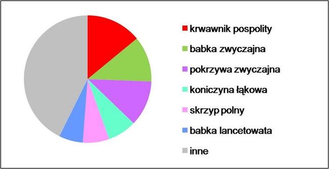 Gatunki Waszych Zielnikw w procentach