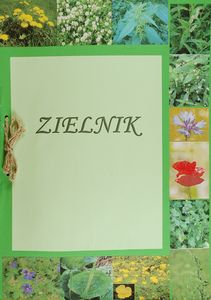 Anna Zatorowska Anna Zatorowska