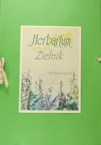 Anna Biederman Anna Biederman