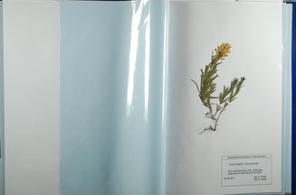 Agnieszka Dziób Agnieszka Dziób