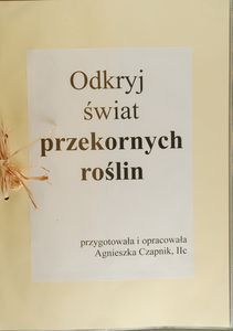 Agnieszka Czapnik Agnieszka Czapnik