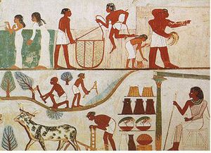 Tomb_of_Nakht_Harvest Tomb_of_Nakht_Harvest